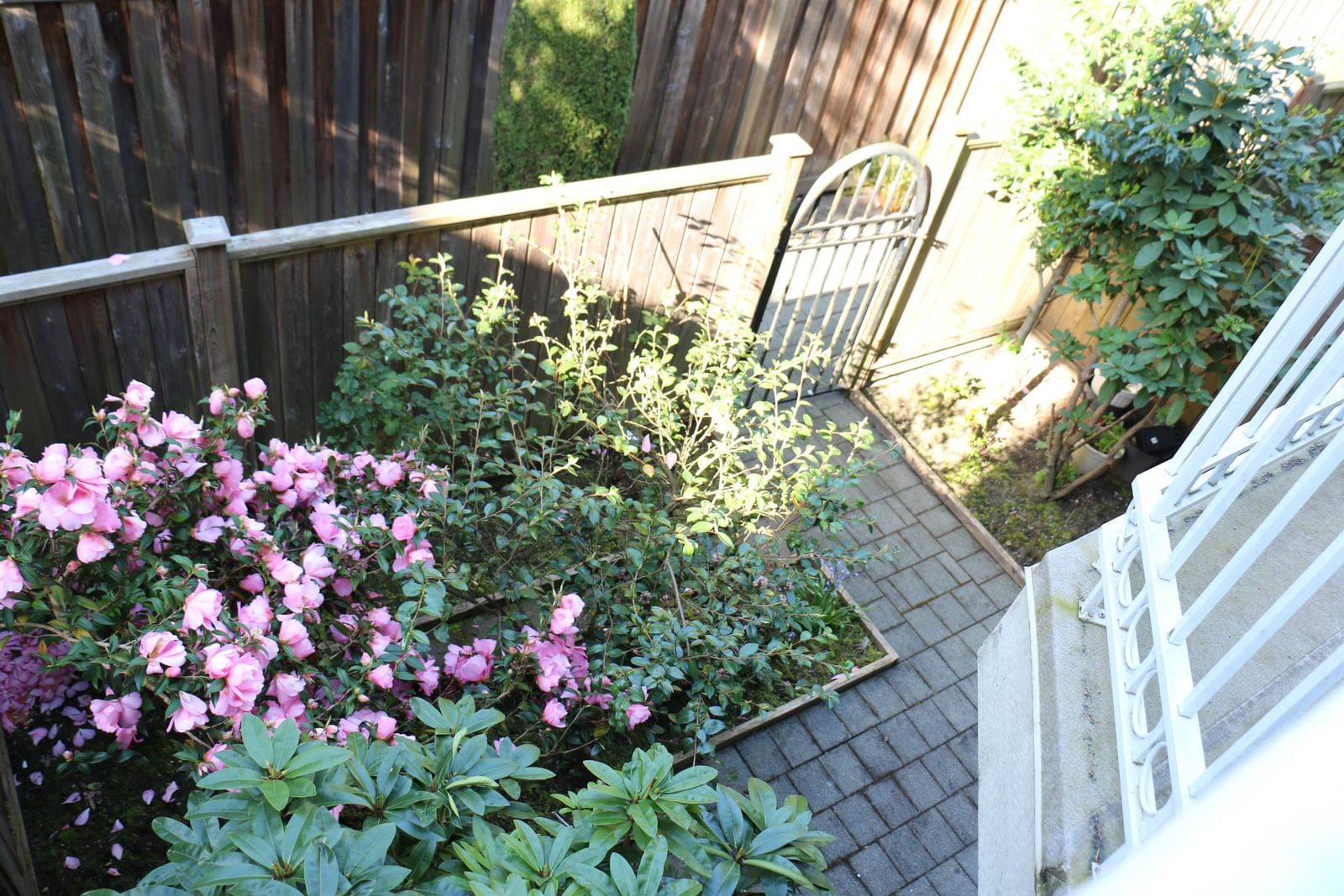 Listing Image 29