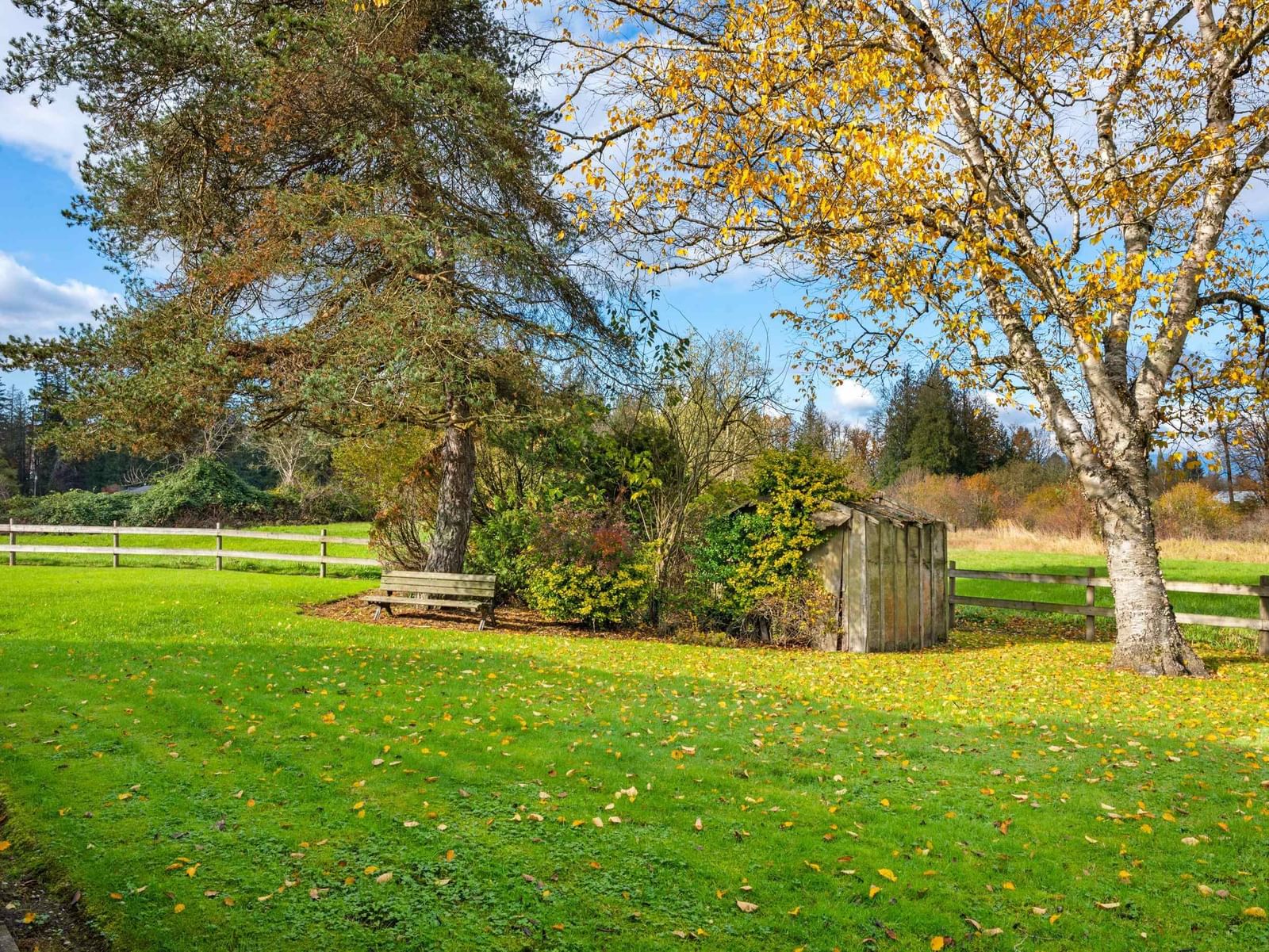 Listing Image 34