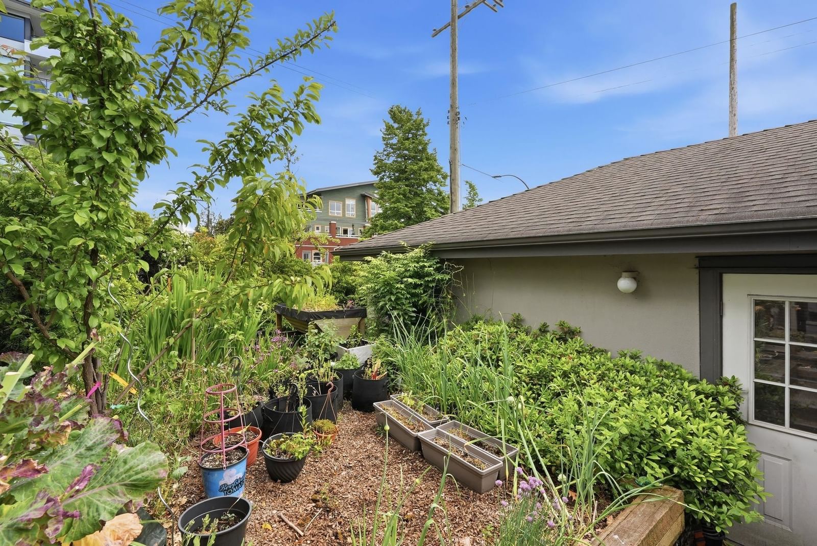 Listing Image 34