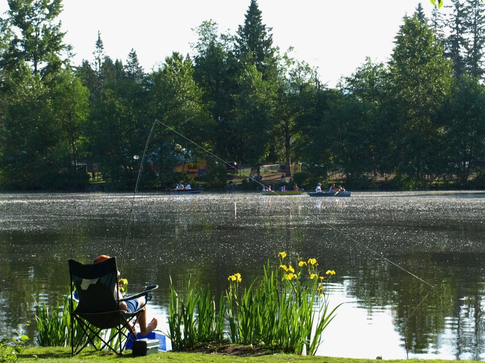 Listing Image 5