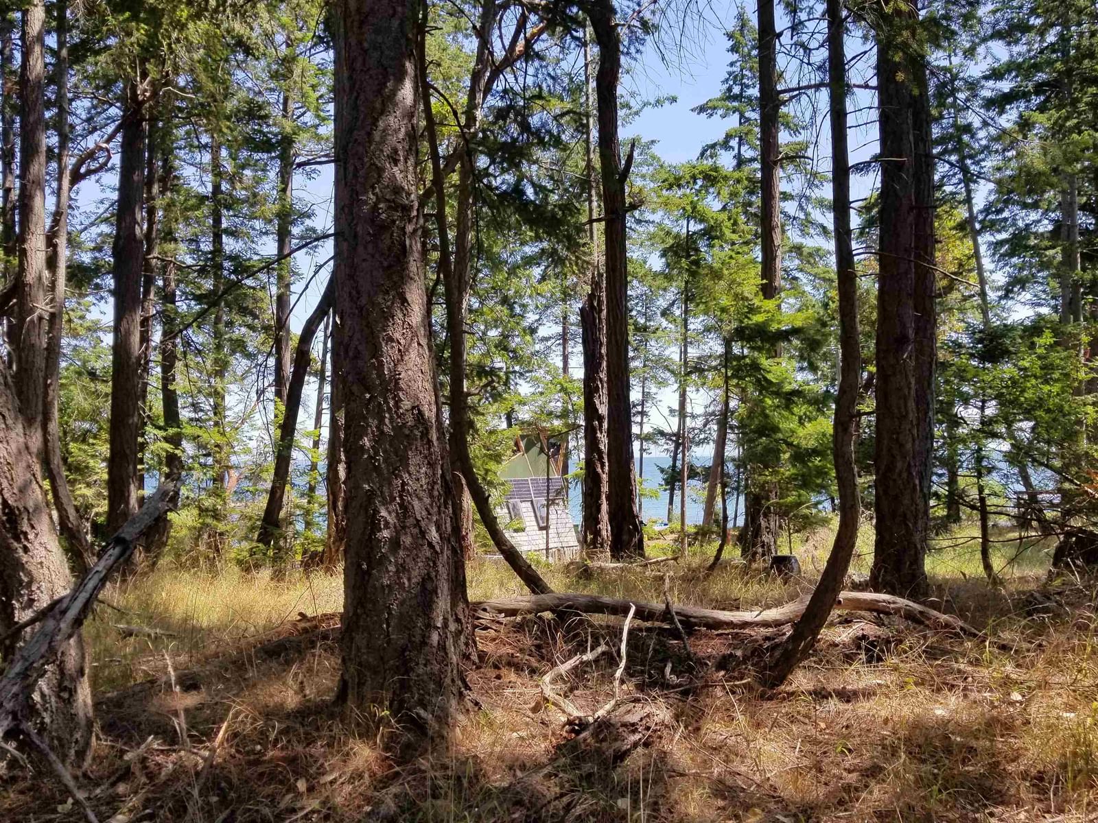 Listing Image 14