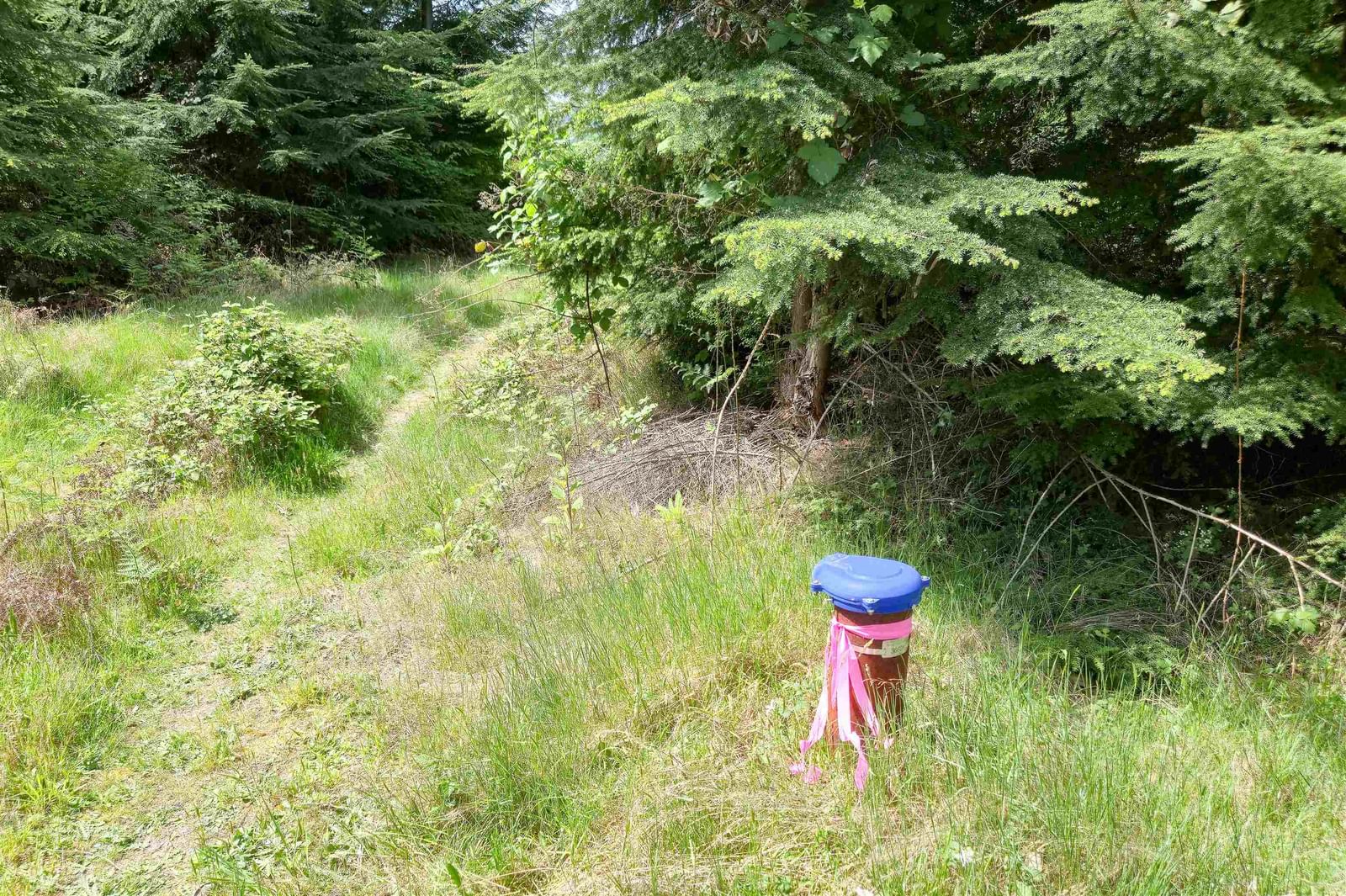 Listing Image 11