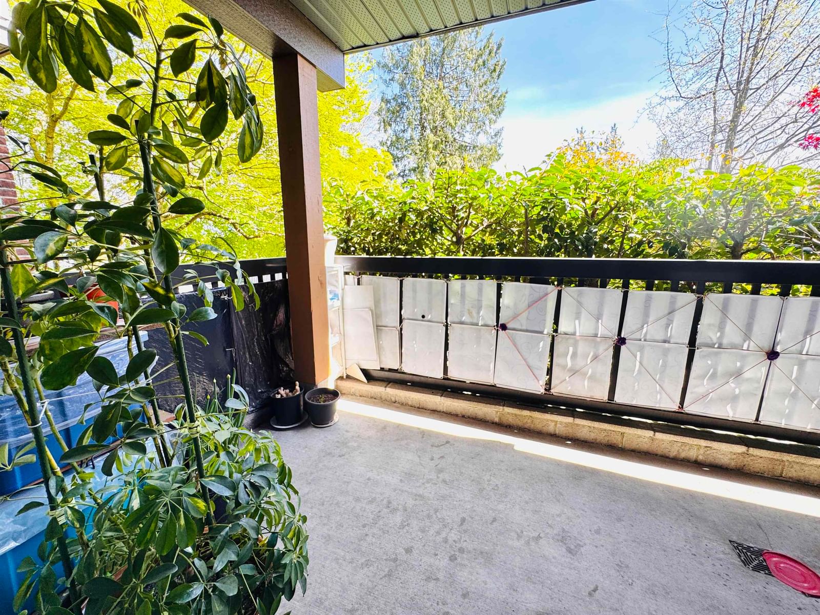 Listing Image 14