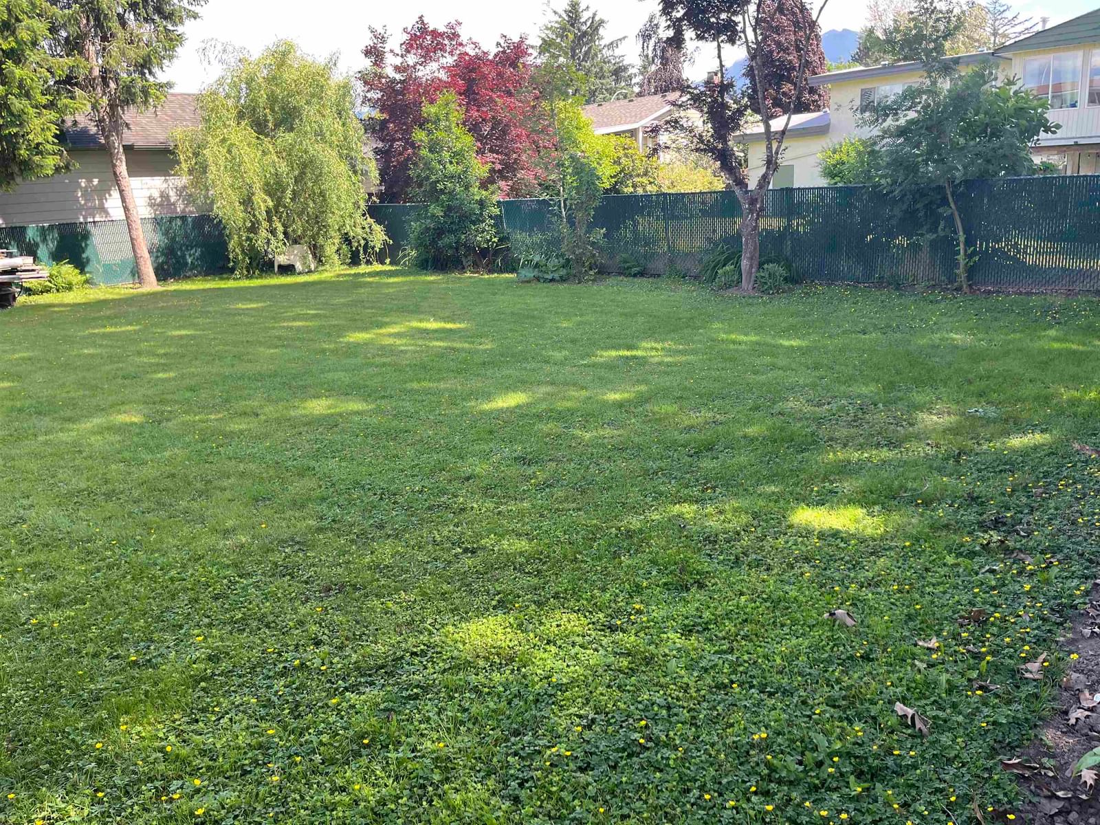 Listing Image 9