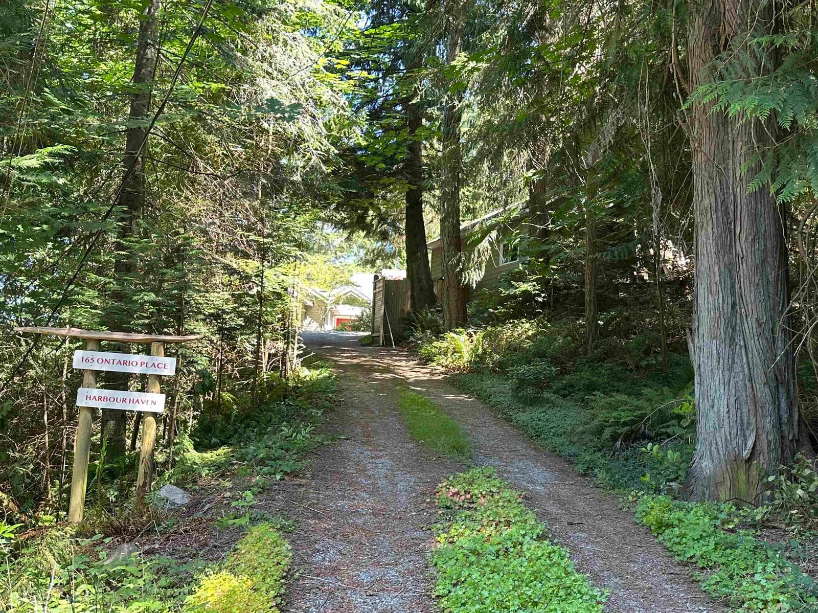 Listing Image 5