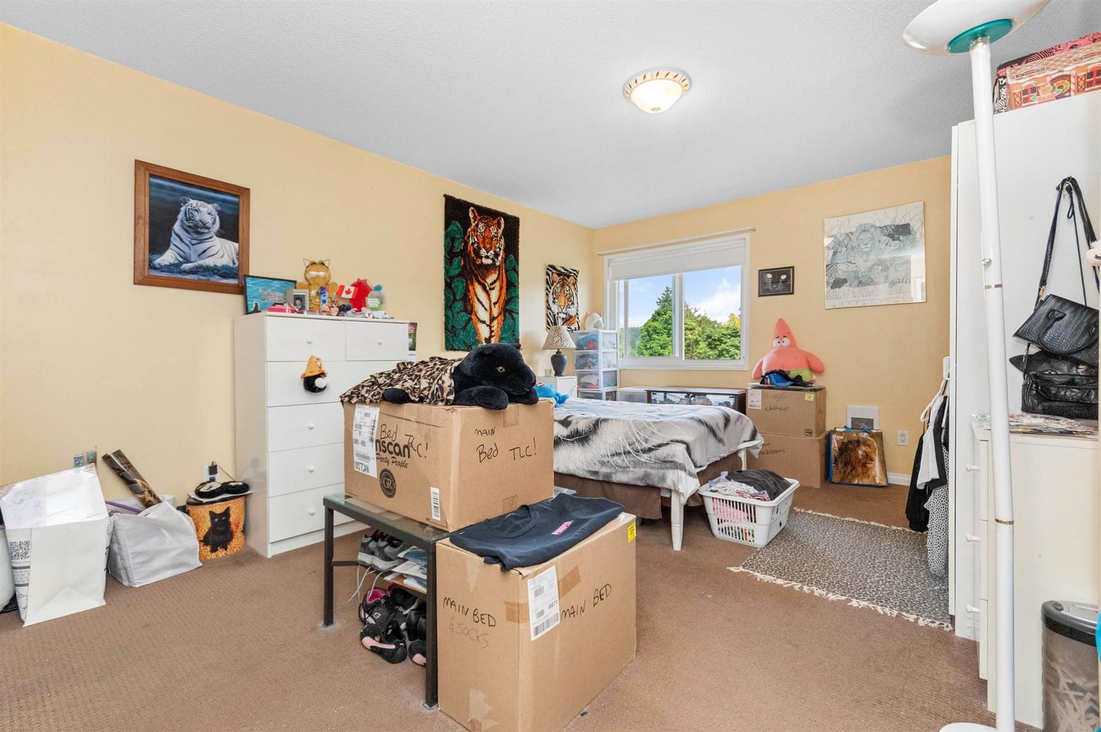 Listing Image 17