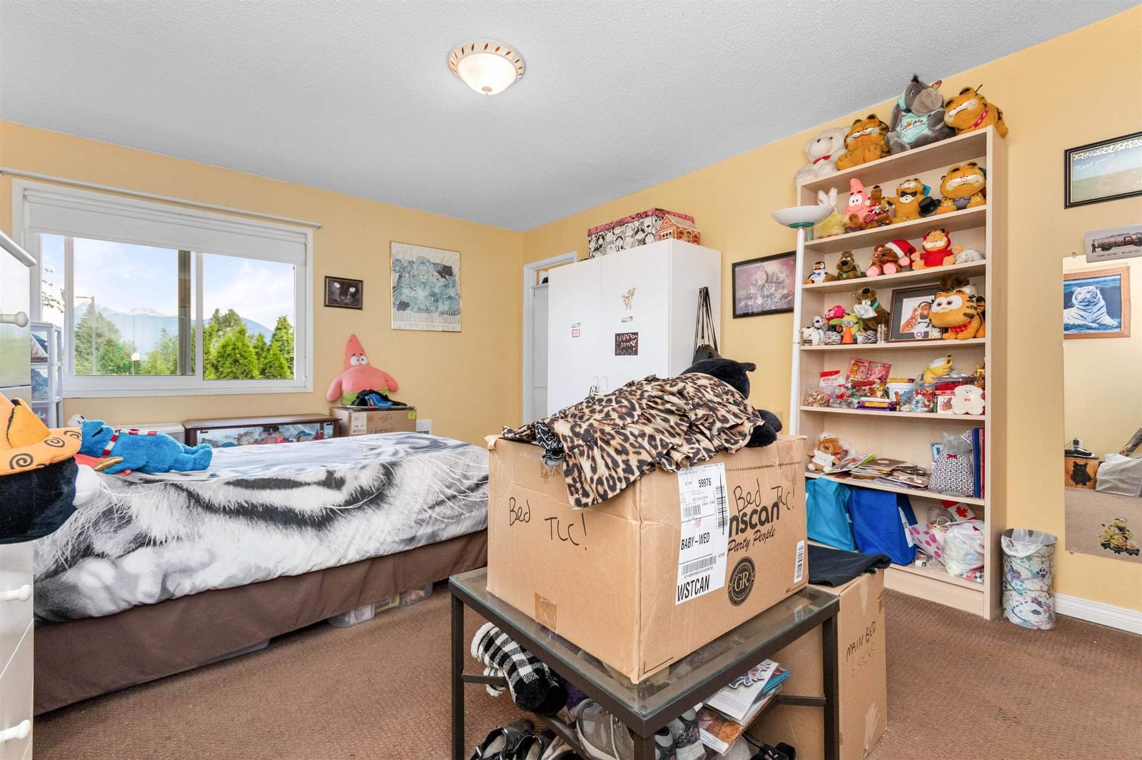 Listing Image 19
