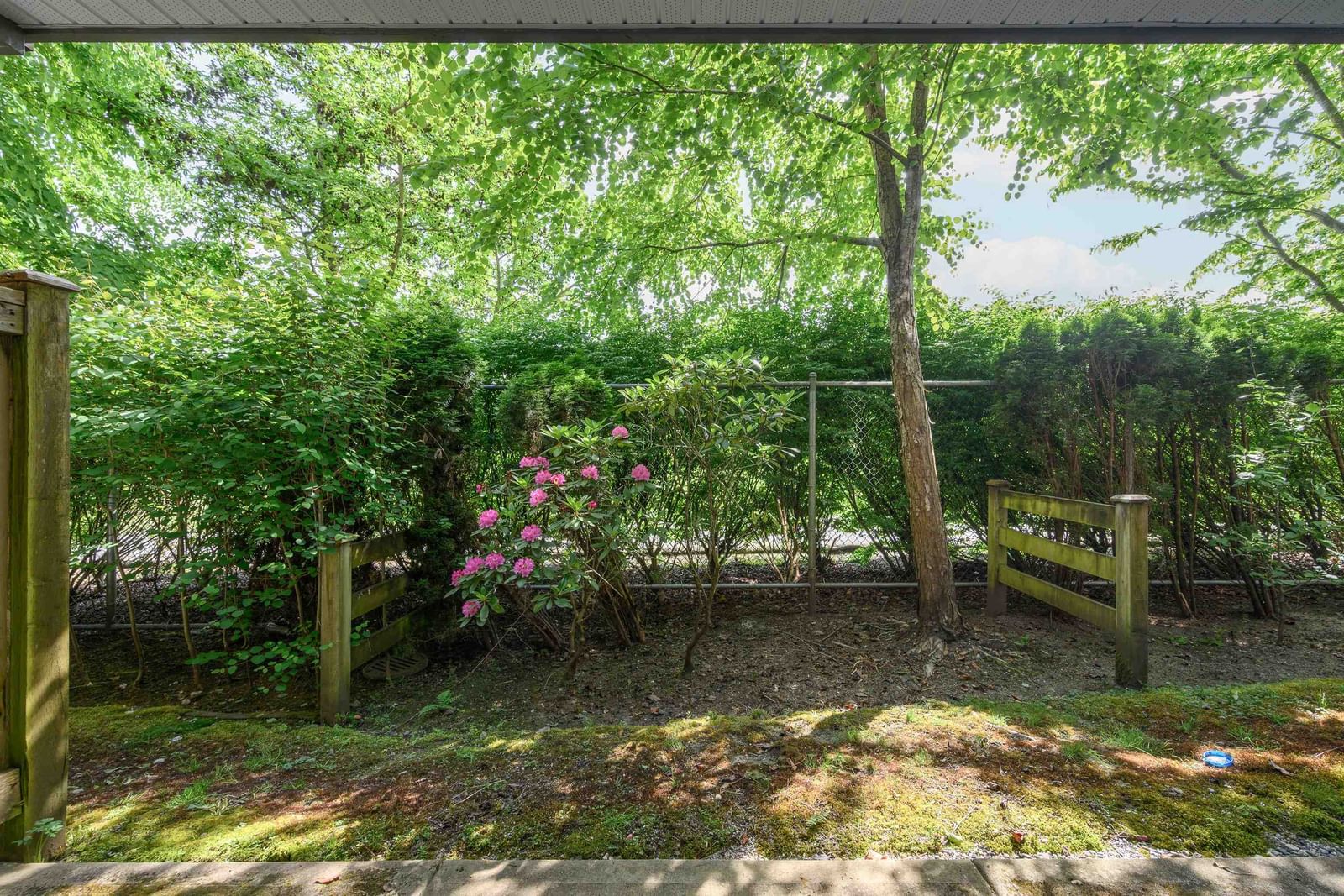Listing Image 24