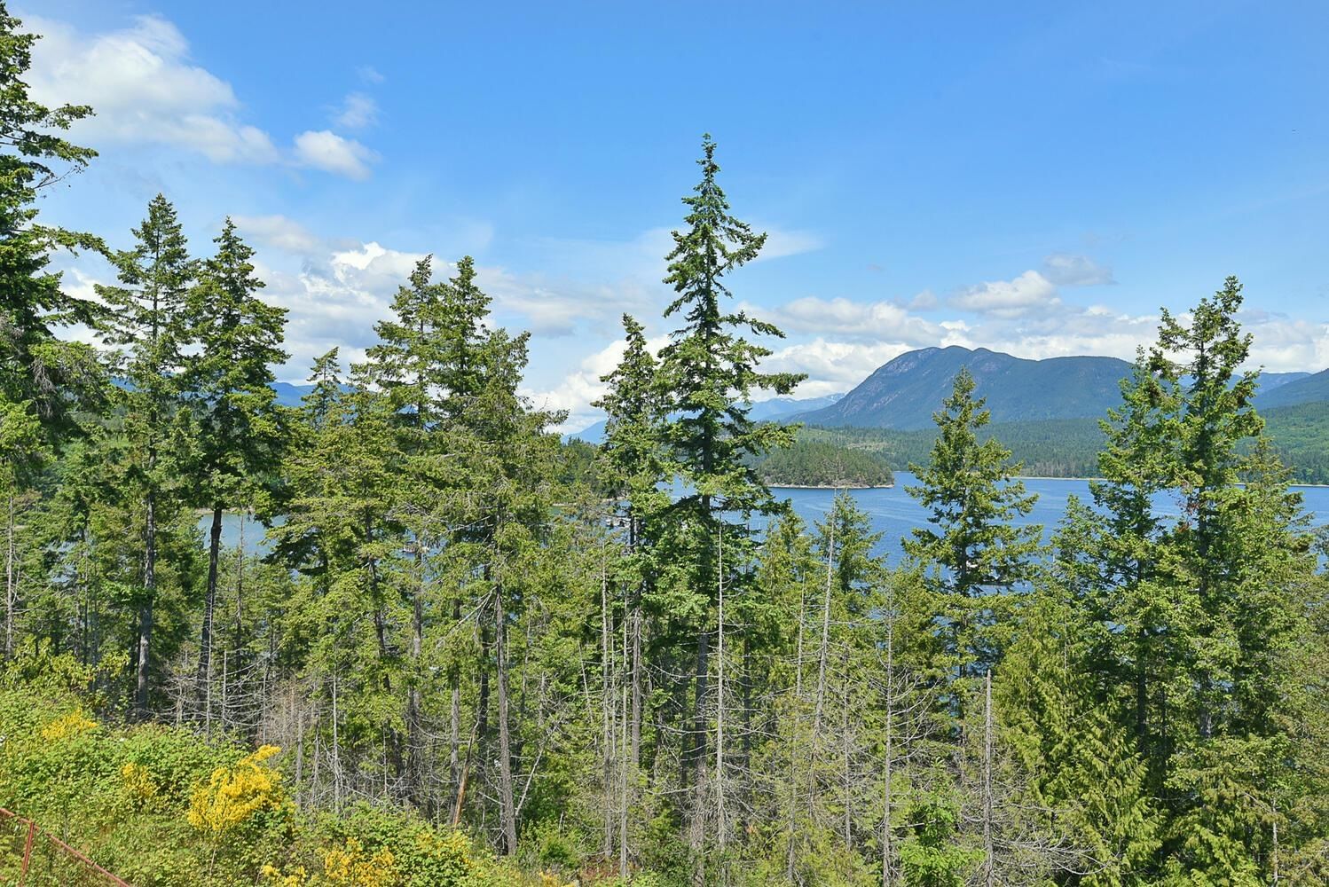 Listing Image 13