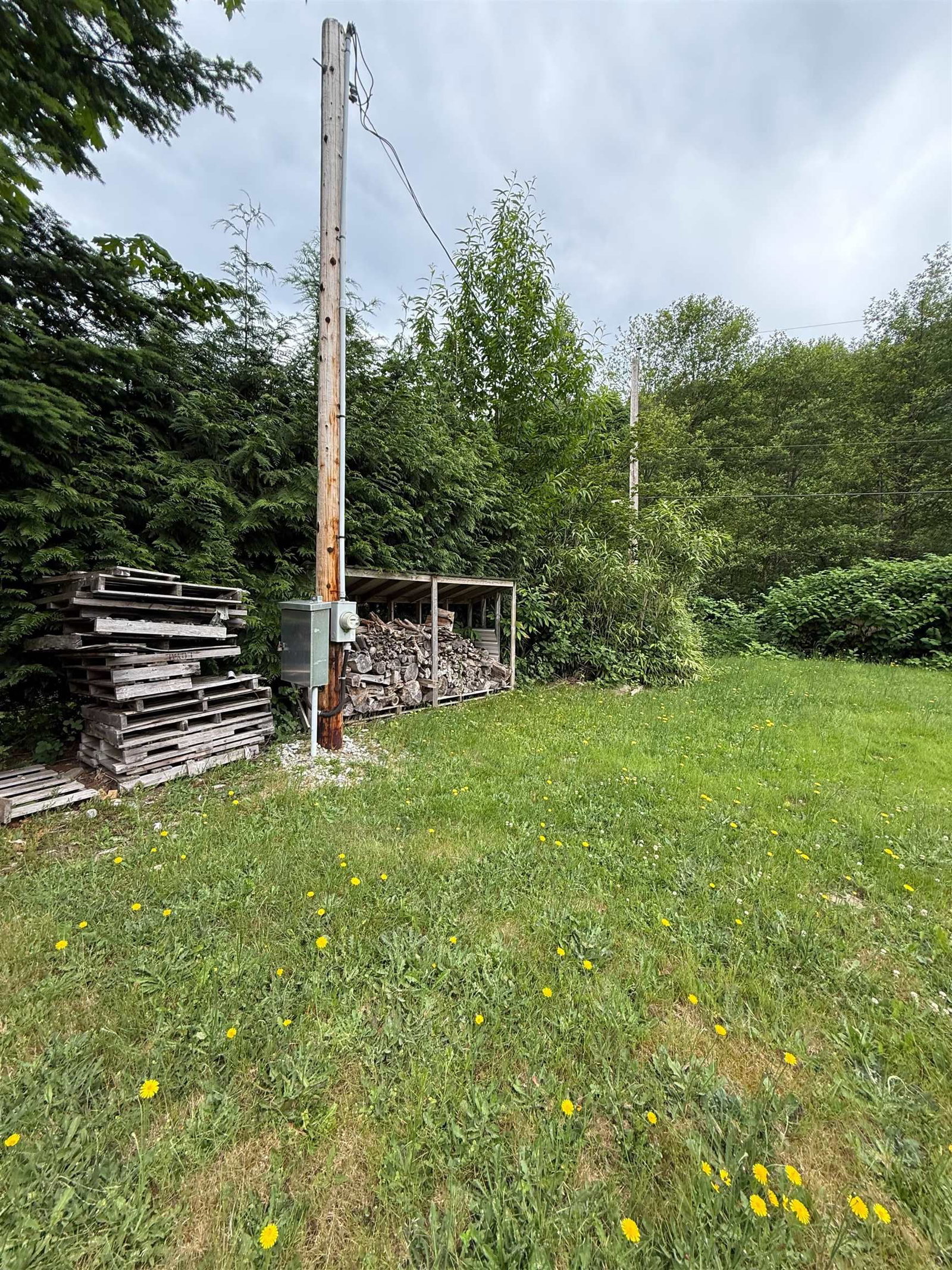 Listing Image 7