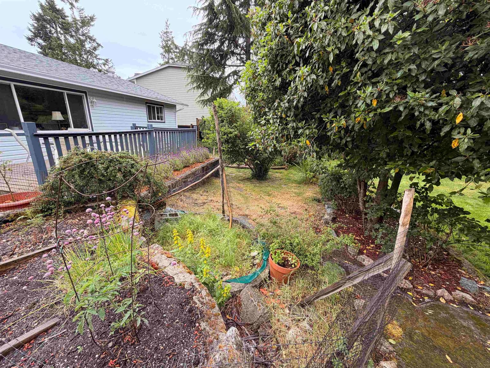 Listing Image 21