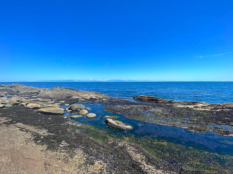 Lot 16 Bodega Beach Drive