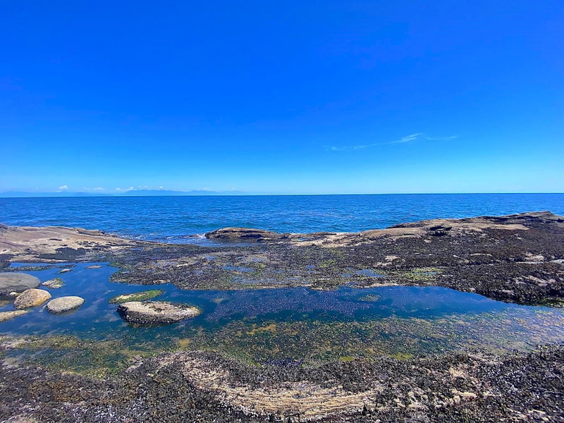 Lot 16 Bodega Beach Drive