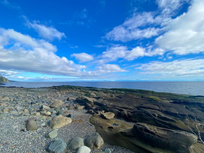 Lot 19 Bodega Beach Drive