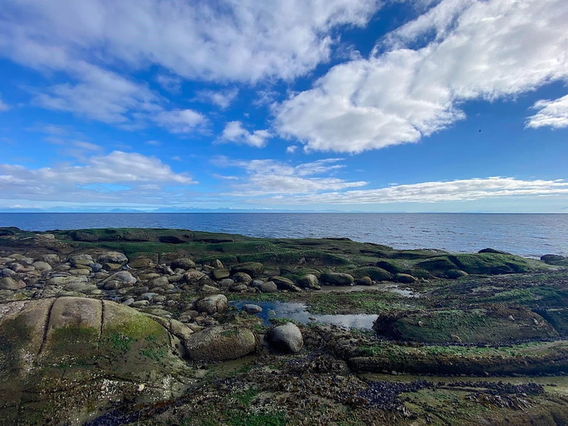 Lot 19 Bodega Beach Drive
