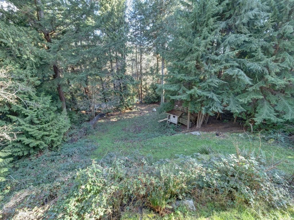 Listing Image 24