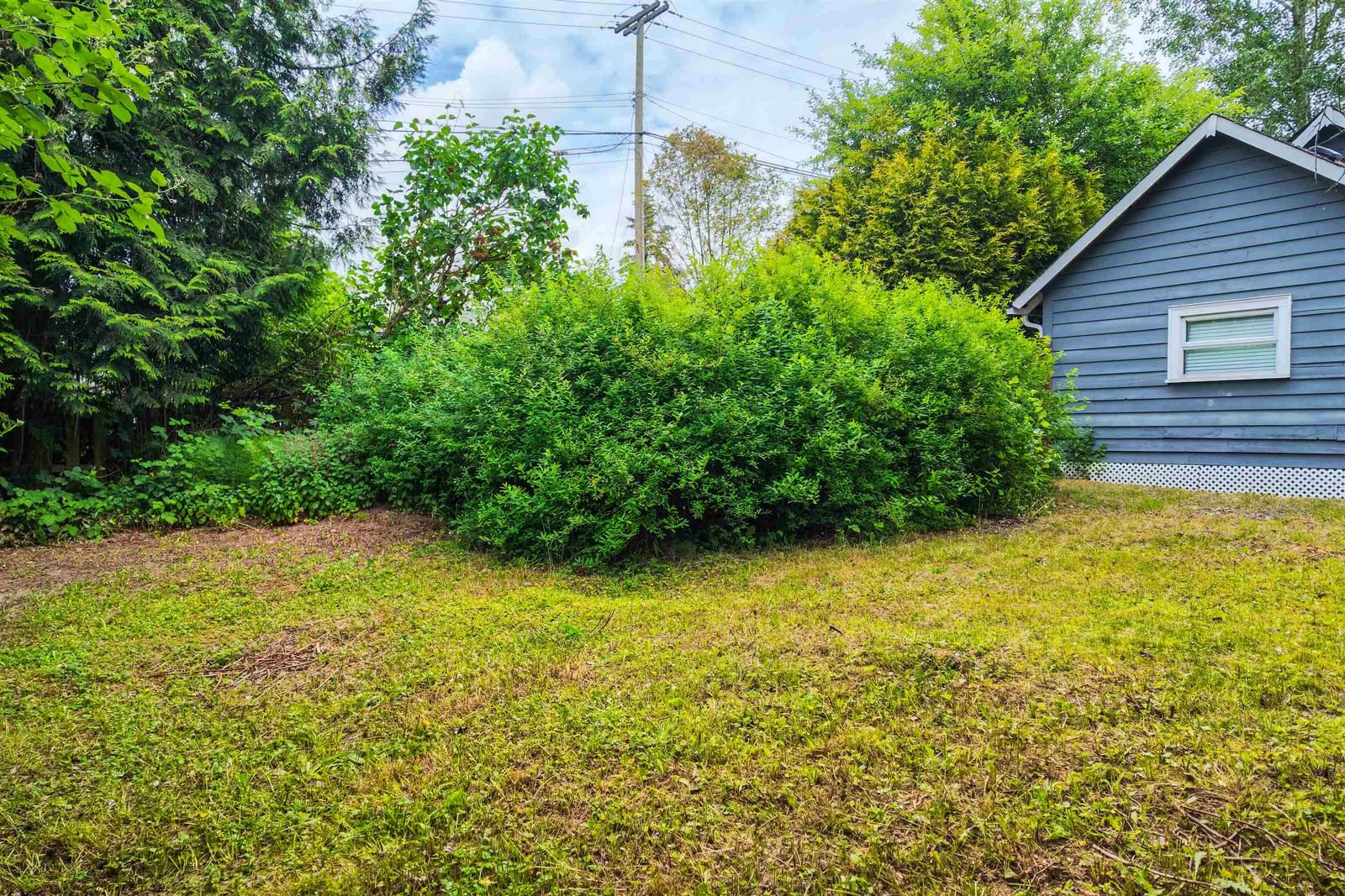 Listing Image 25