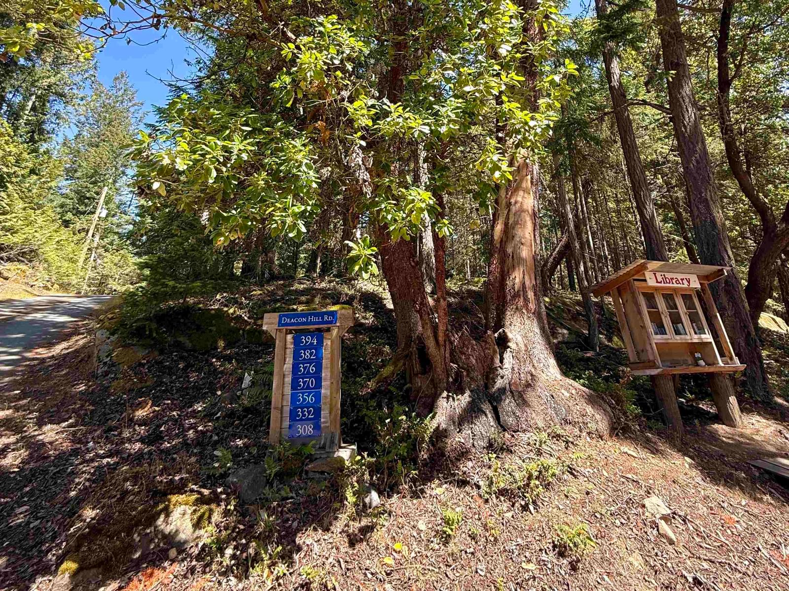 Listing Image 19