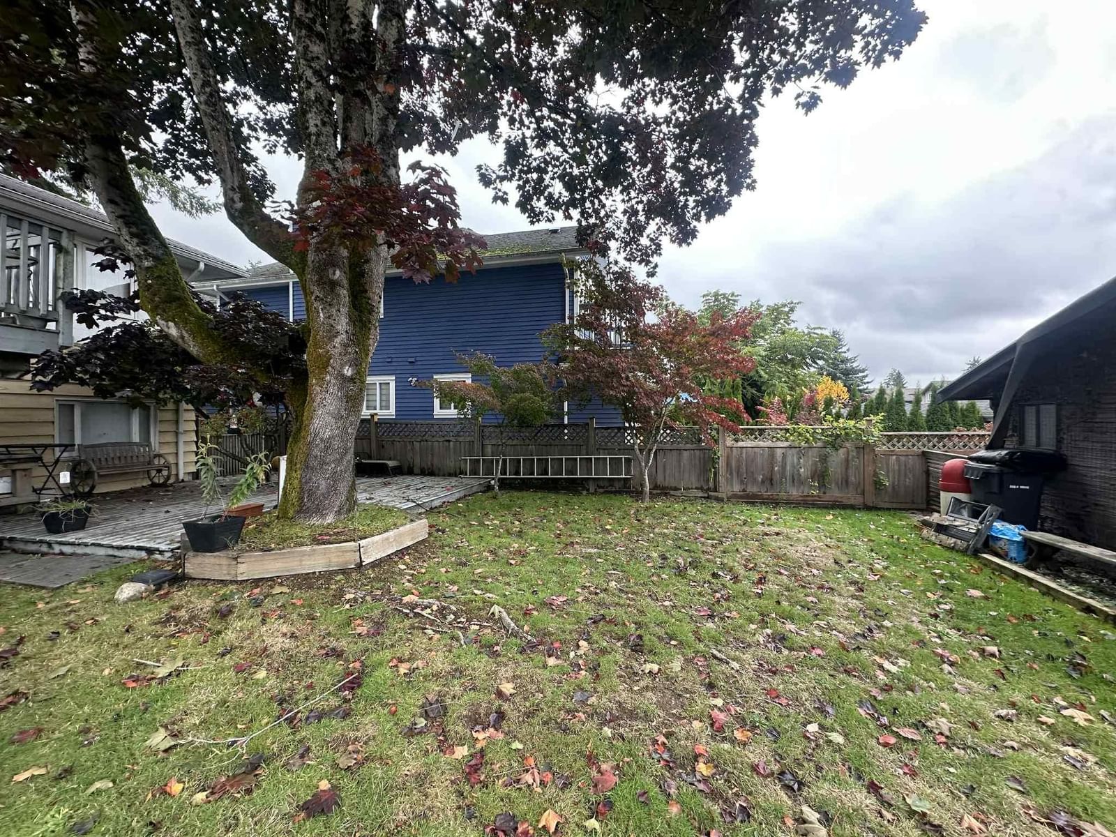 Listing Image 6