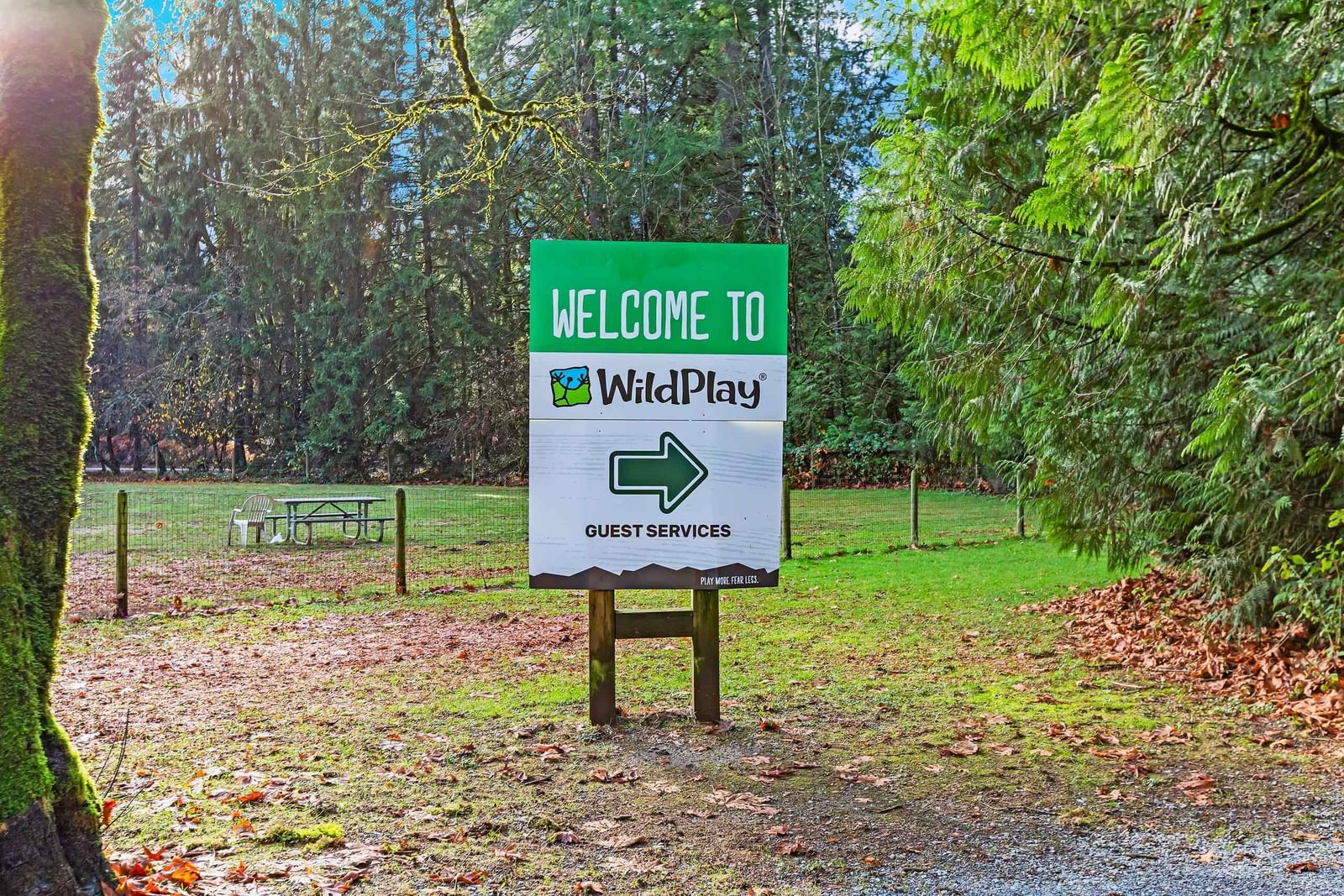 Listing Image 35