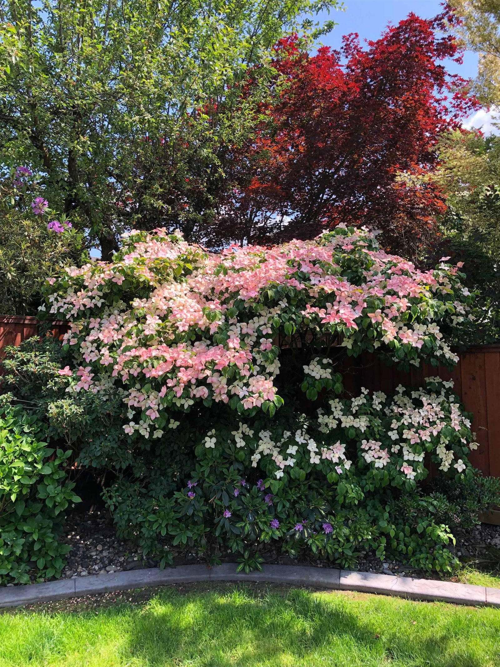 Listing Image 38