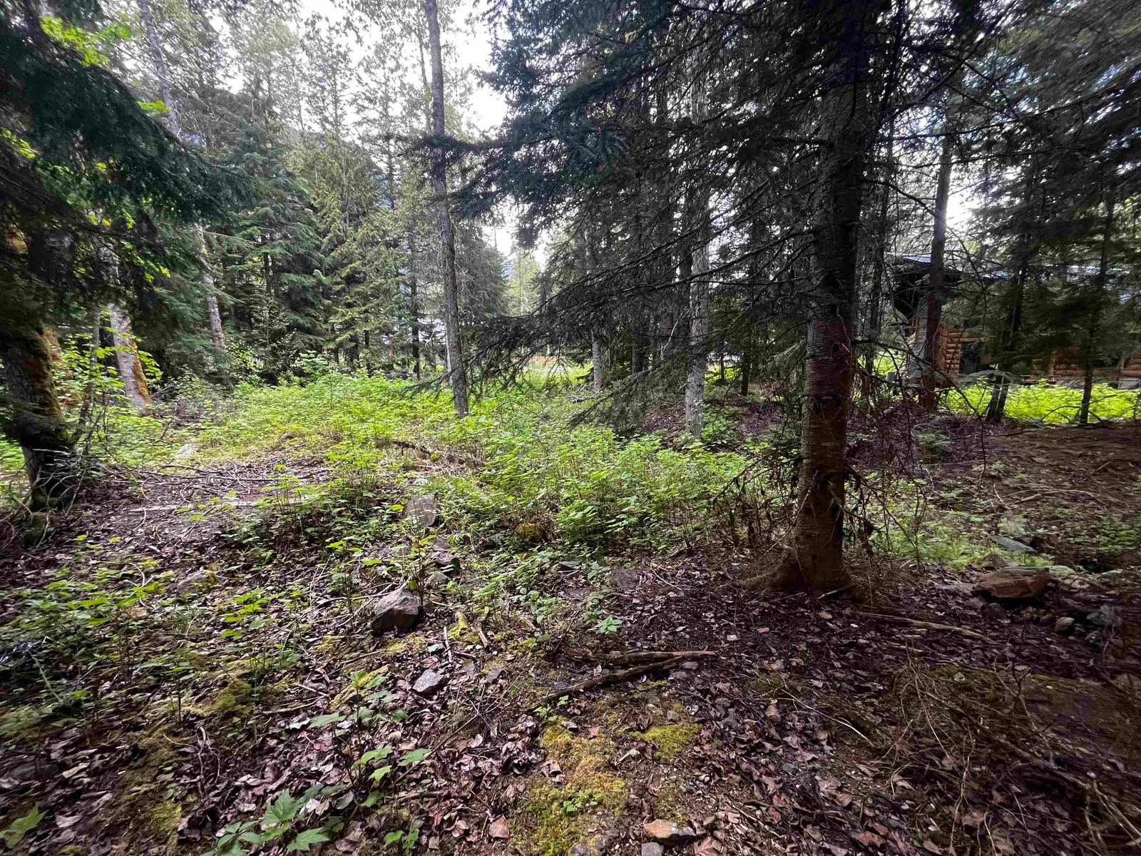 Listing Image 15