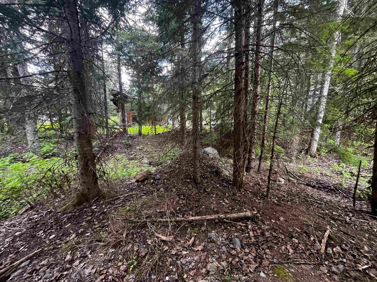 Listing Image 16