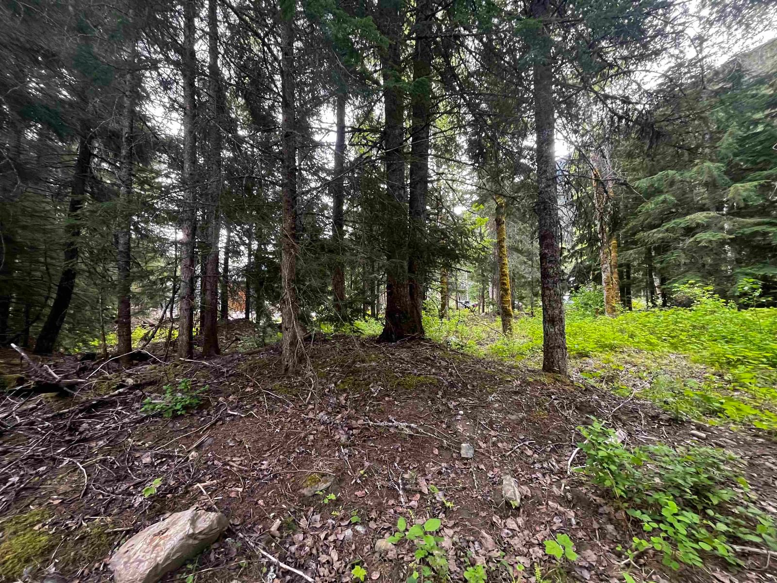 Listing Image 9