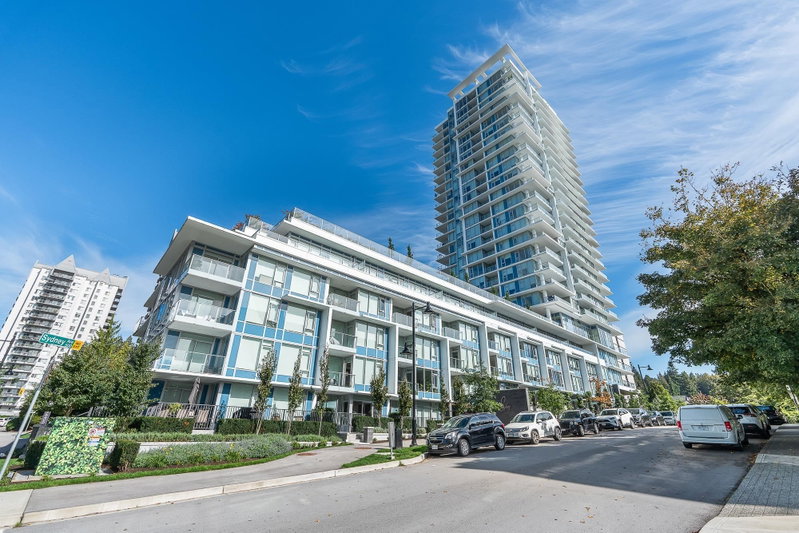 1004 - 555 Sydney Avenue