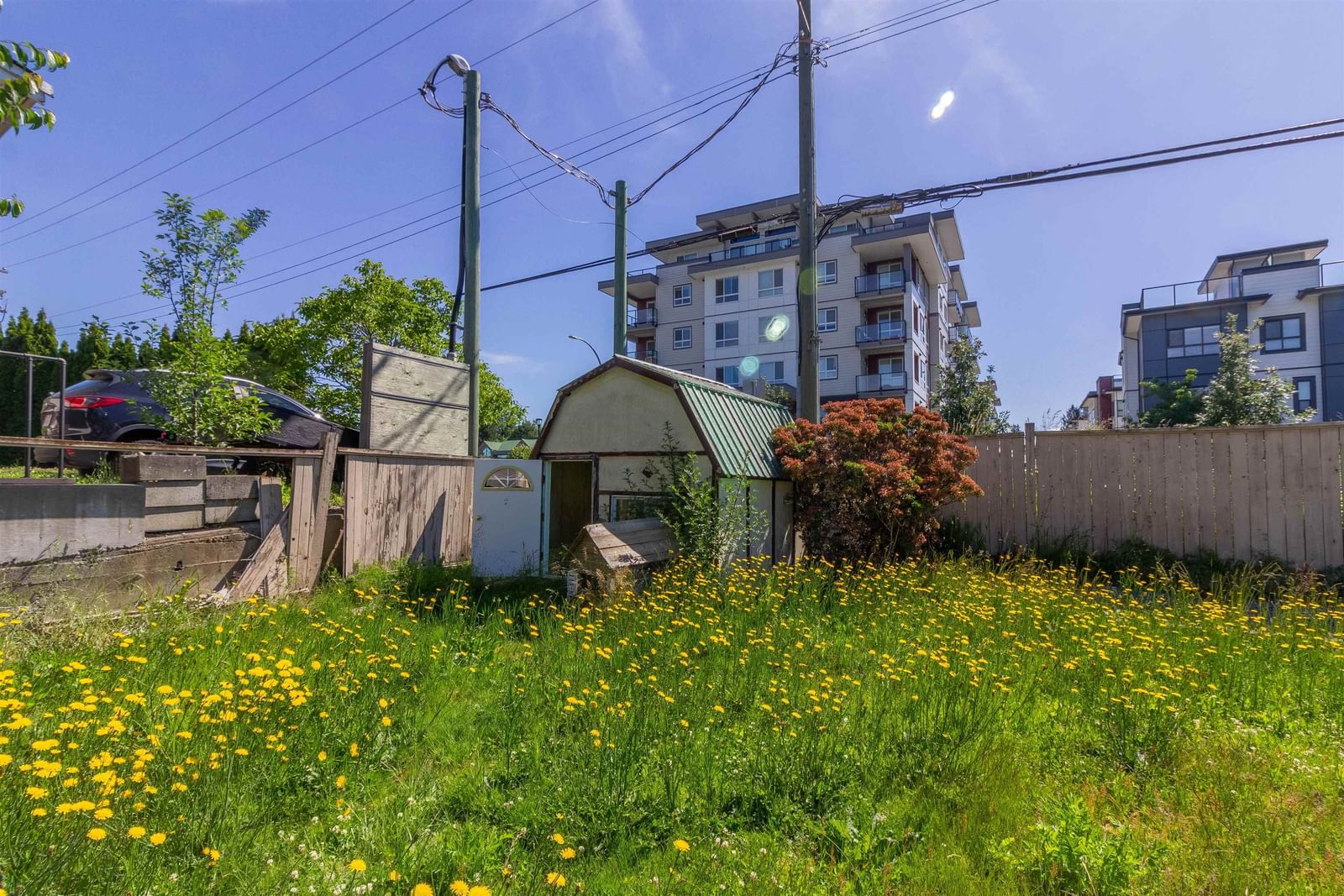 Listing Image 18