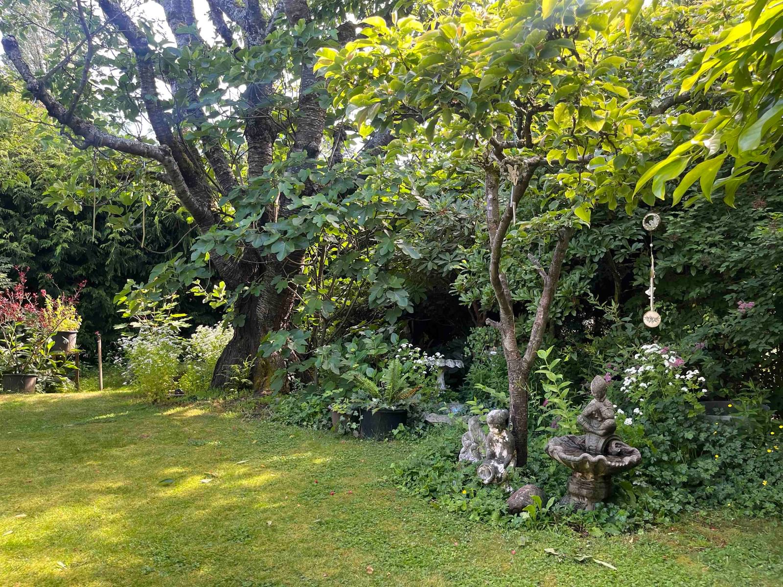 Listing Image 13