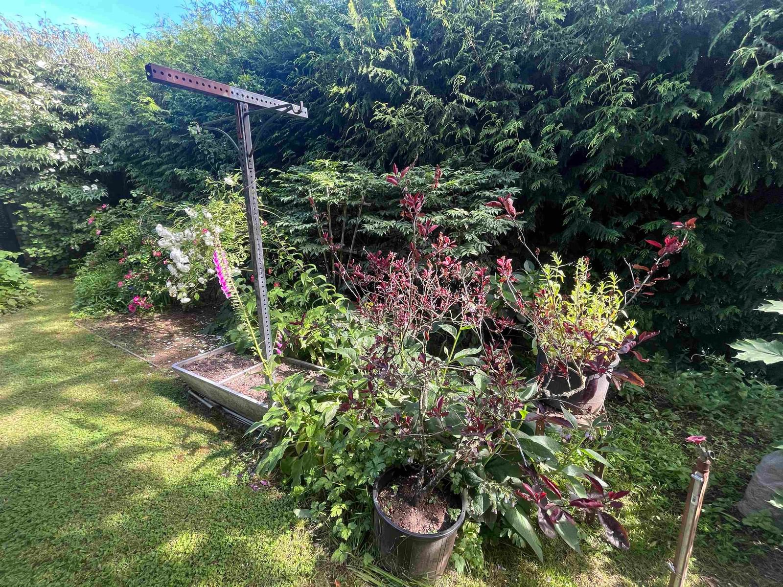 Listing Image 16