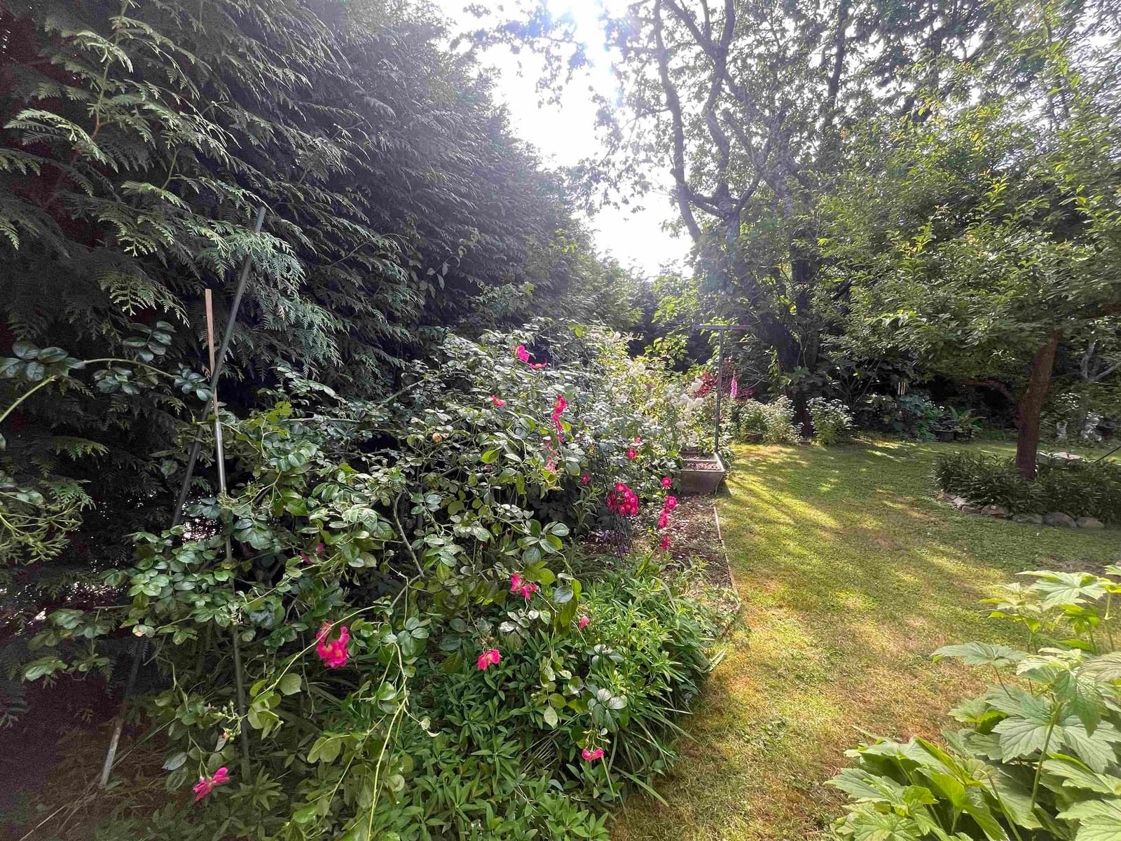 Listing Image 17