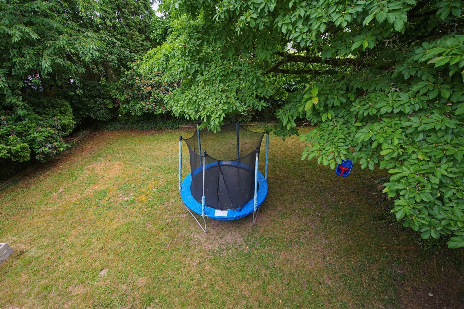 Listing Image 37