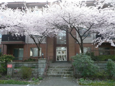 209 - 6688 Burlington Avenue
