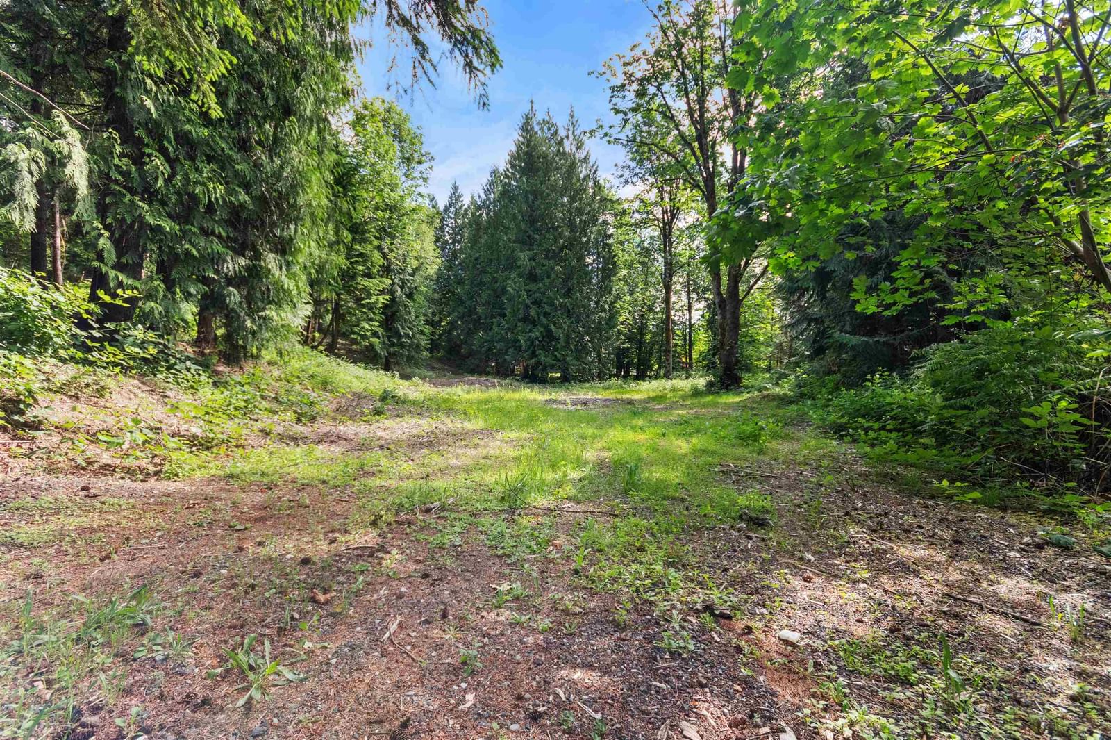 Listing Image 25