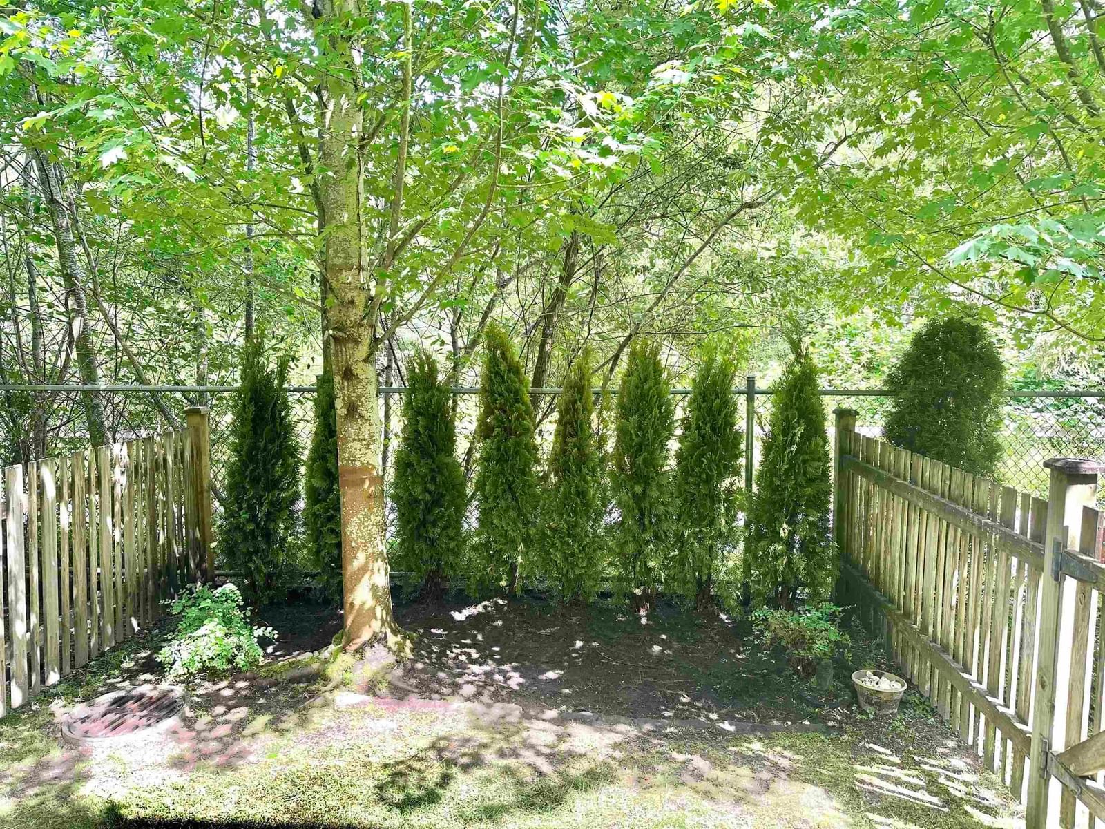 Listing Image 25