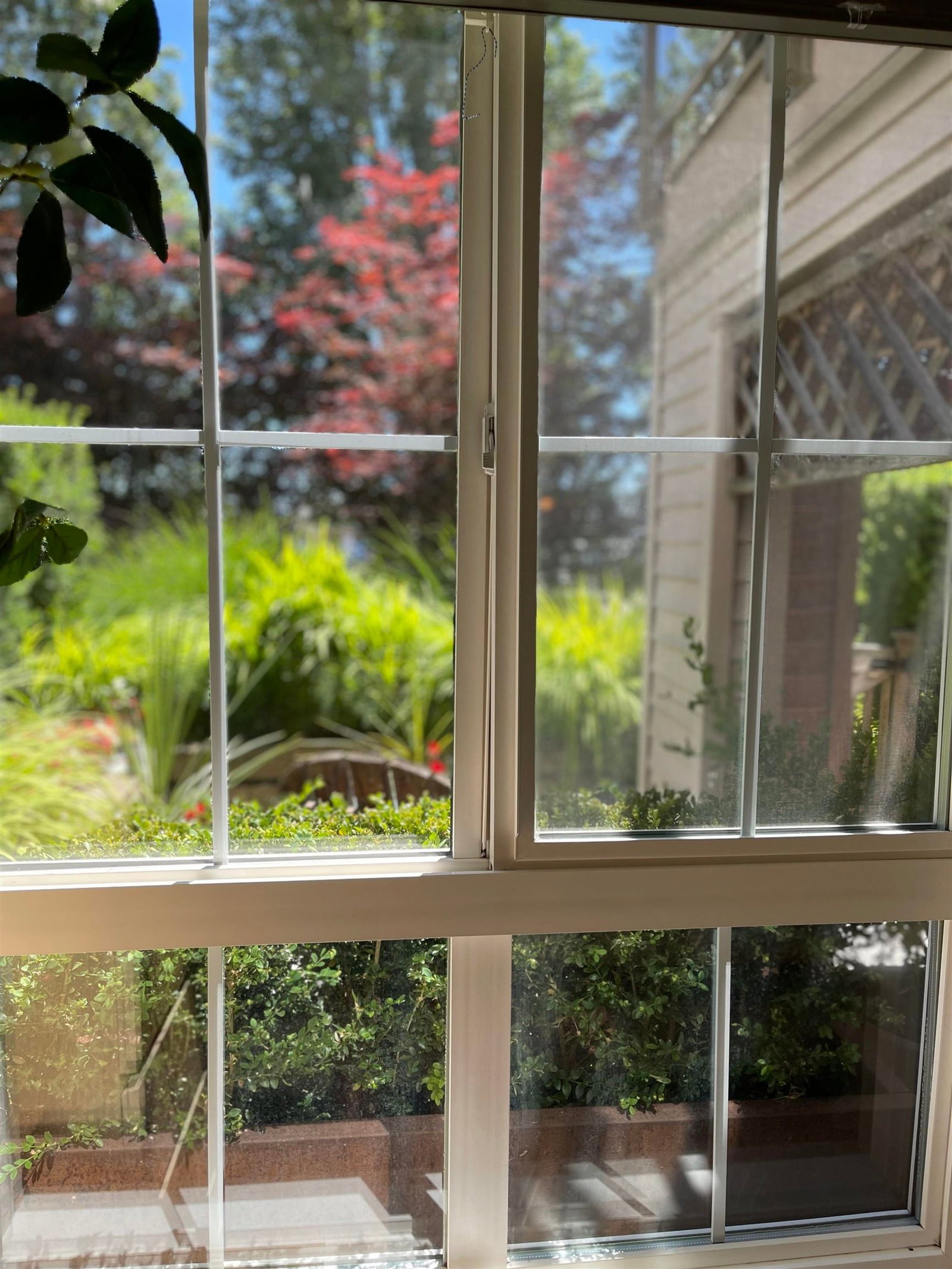 Listing Image 17