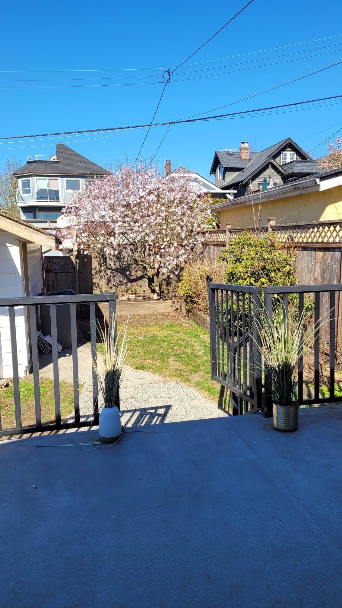 Listing Image 14