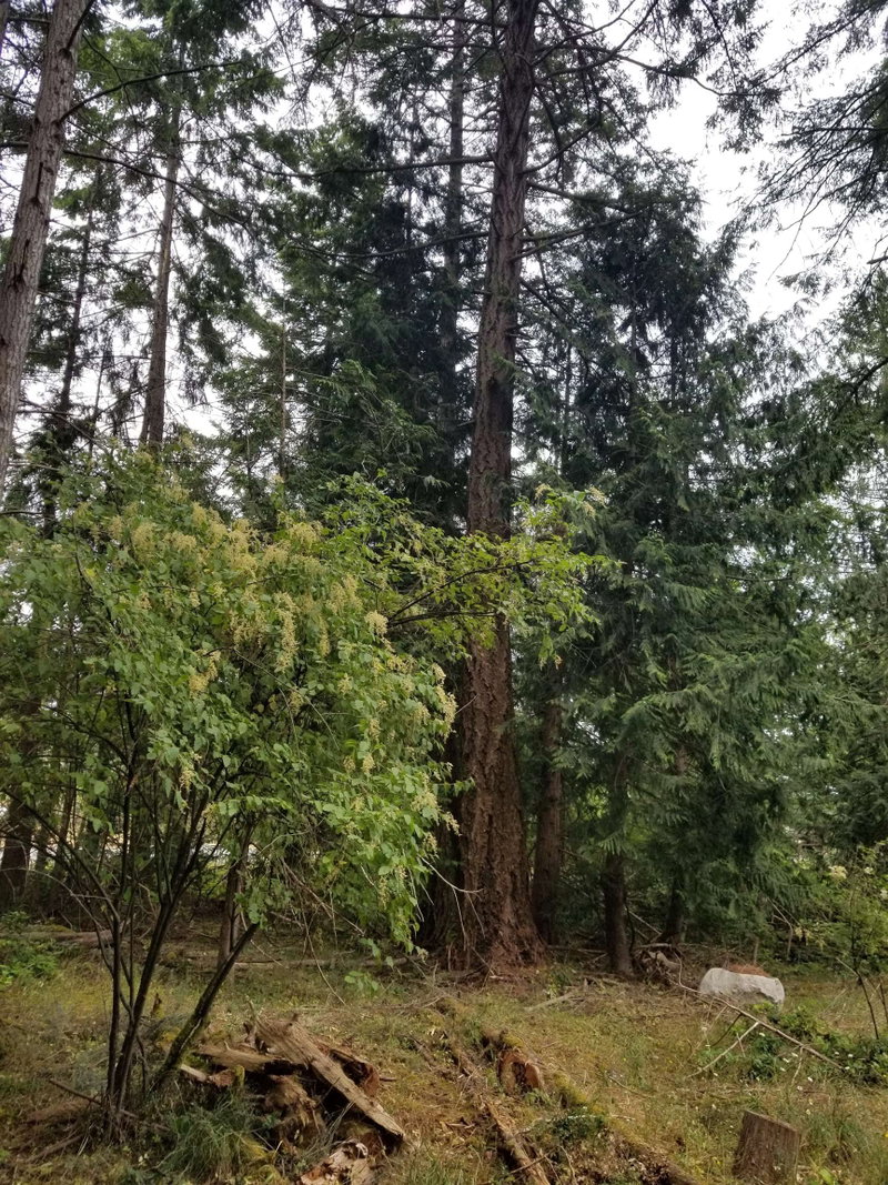 LOT 1 Burrill Road