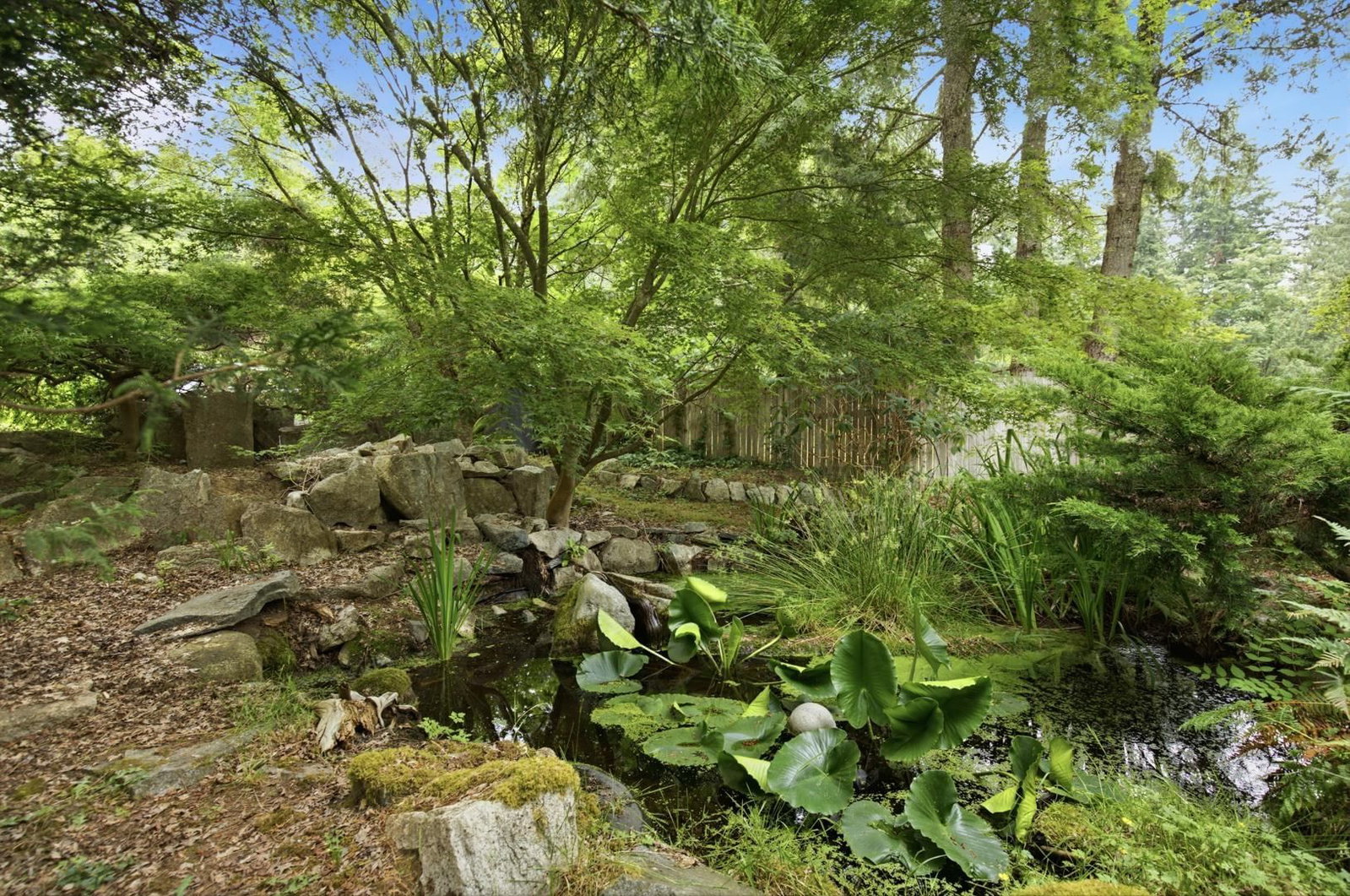 Listing Image 27