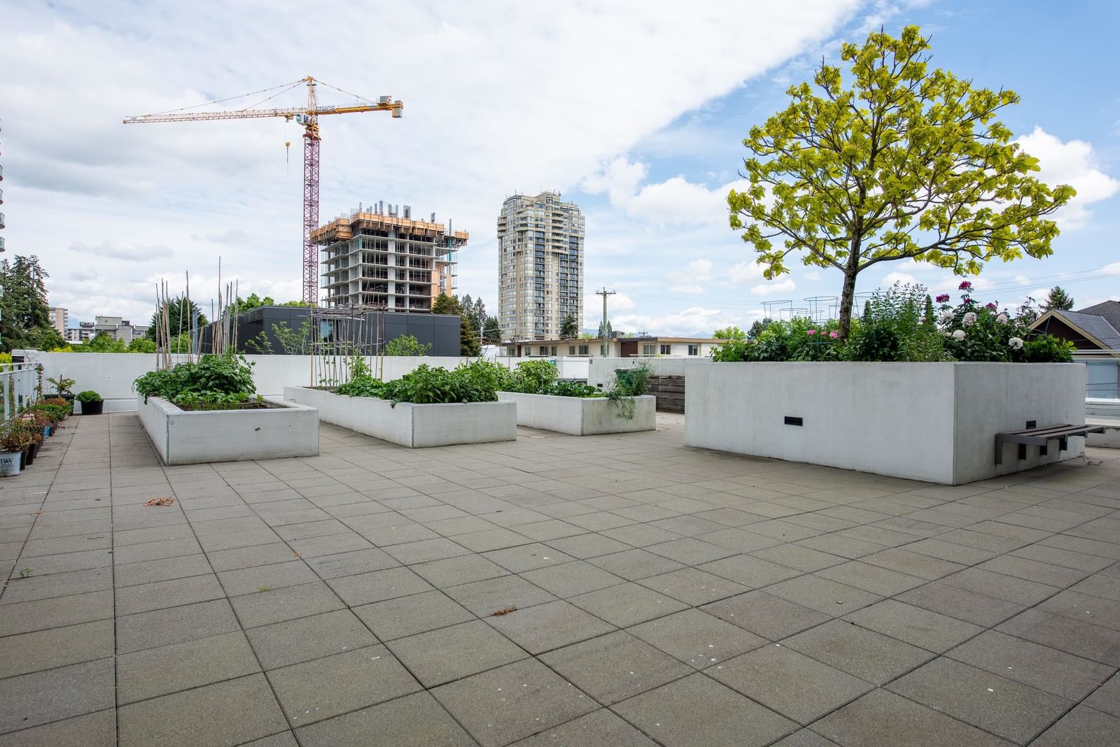 Listing Image 16