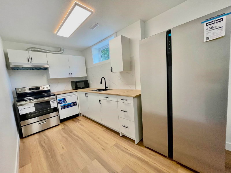 LOWER LEVEL - 1695X 84 Avenue
