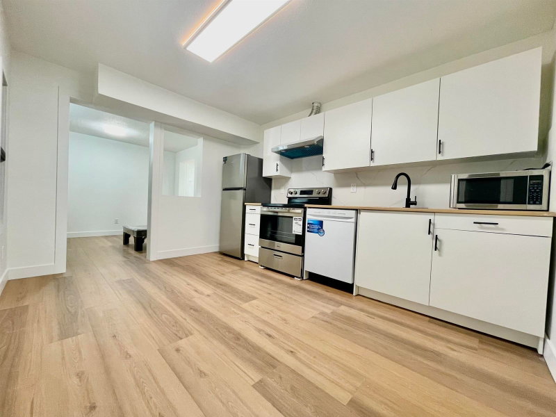 lower level - 1695x 84 Avenue