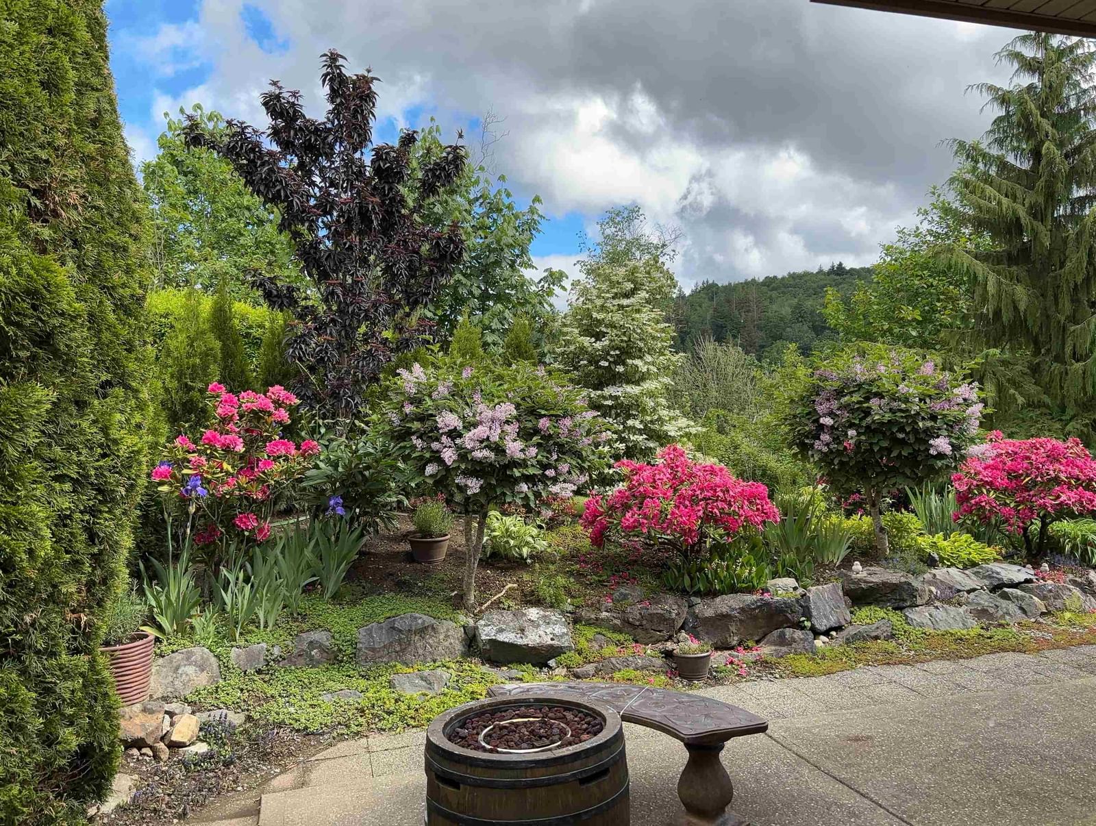Listing Image 37