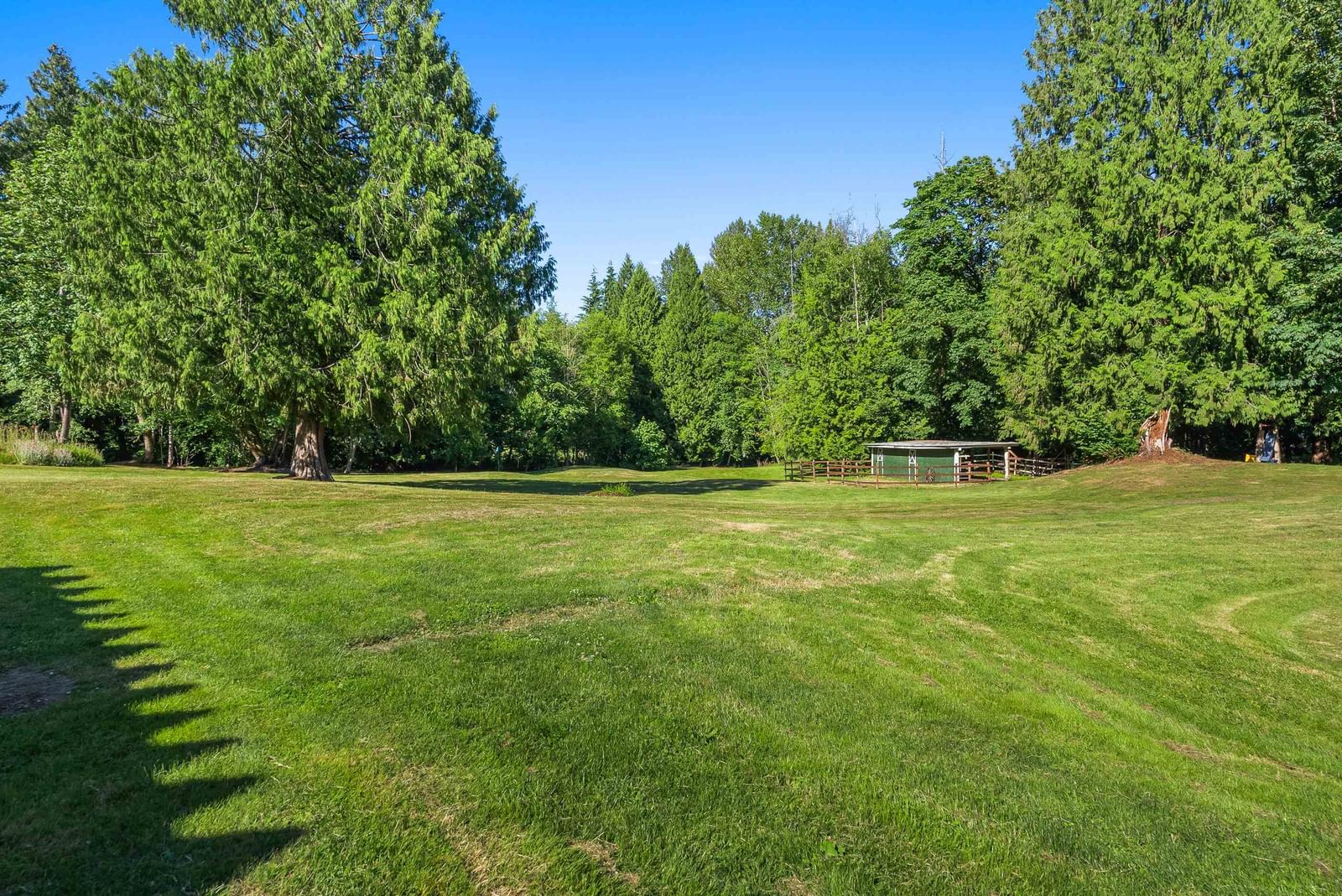 Listing Image 25