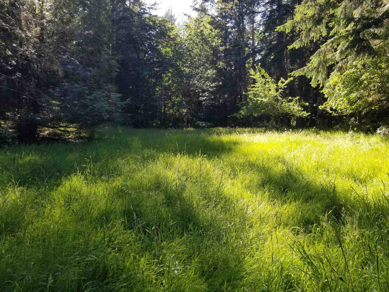 Listing Image 39