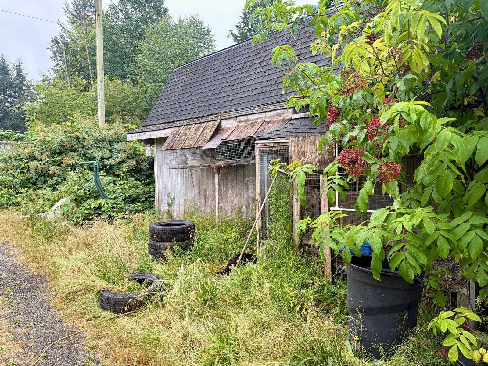 Listing Image 8