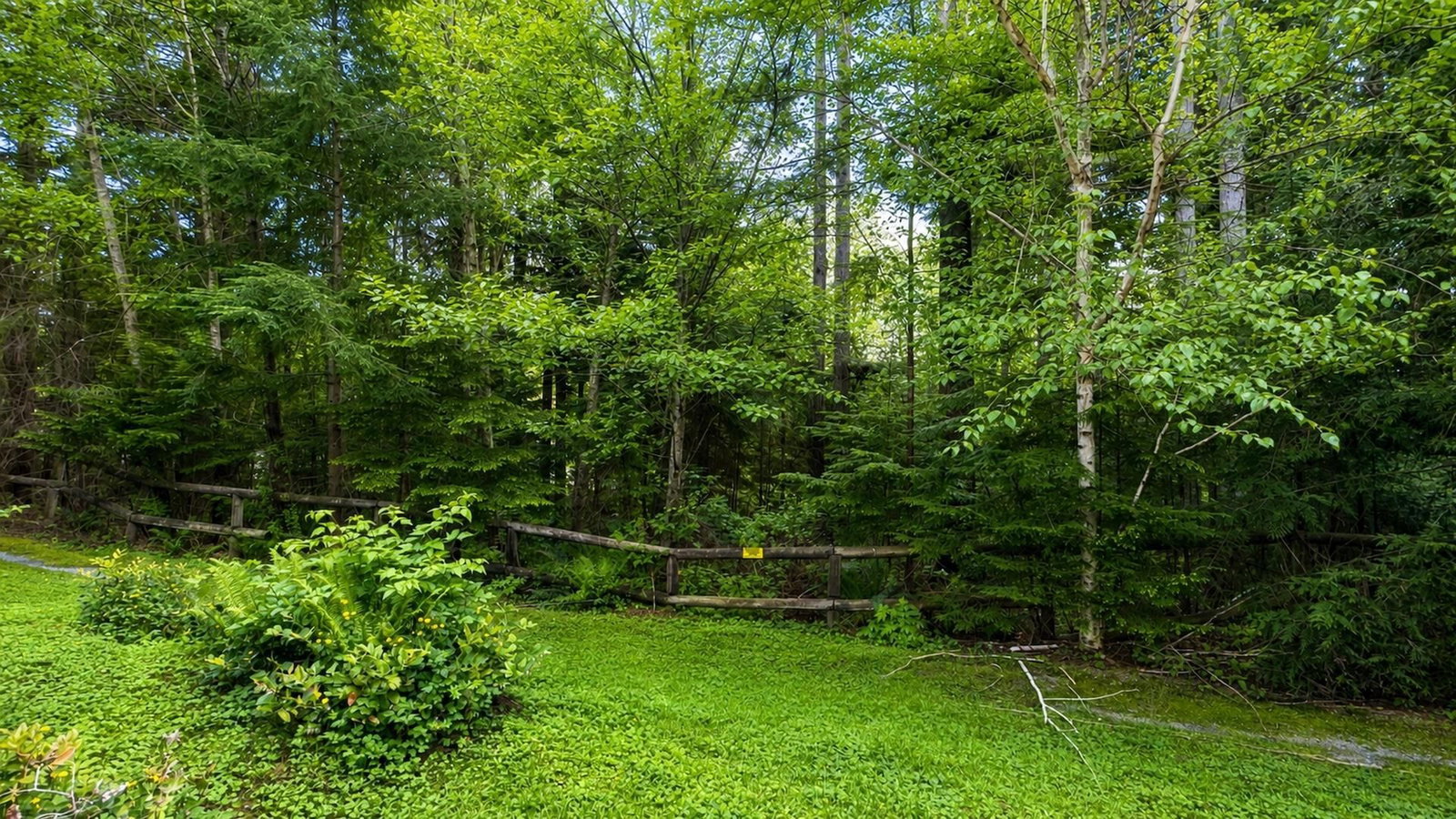 Listing Image 33
