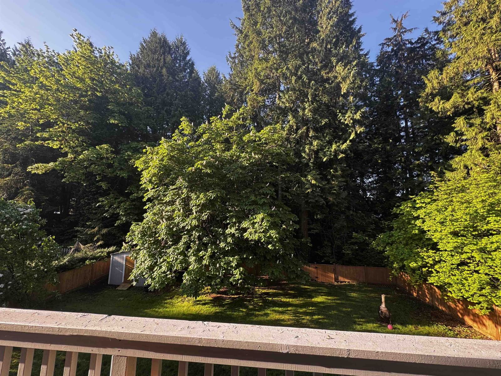 Listing Image 36